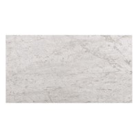 Silver Beige Honed Wall/Floor Tile