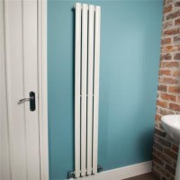 Nevada Beta Heat 1600 x 240mm Single Panel White Radiator