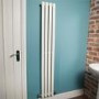 Nevada Beta Heat 1600 x 240mm Single Panel White Radiator