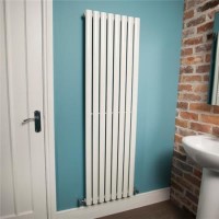 Nevada Beta Heat 1600 x 480mm Single Oval Panel White Vertical Radiator