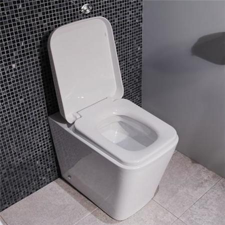 Bali Back to Wall Toilet