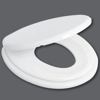Toilet Training Seat 