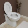 Toilet Training Seat 