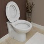 Toilet Training Seat 