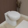 Toilet Training Seat 