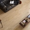 Trendwood Olmo Glazed Porcelain Rectified Floor Tile