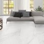 Oporto Carrara Glazed Porcelain Wall/Floor Tile