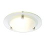 Albus Opal Glass Diffuser Flush Ceiling Light