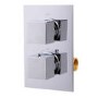 Single Outlet Concealed Thermostatic Shower Valve -EcoCube Range