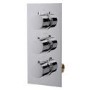 Triple Outlet Concealed Thermostatic Shower Valve -EcoS9 Range