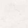 Statuario Living Polished Porcelain Rectified Wall/Floor Tile
