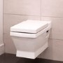 Wall Hung Toilet and Soft Close Seat - Turin Range