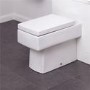 Brianza Back To Wall Toilet and Soft Close Seat