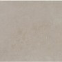 Reef Natural Luxglass Glazed Porcelain Wall/Floor Tile