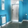 Pivot Shower Door - 800mm - 6mm Glass - Aqualine