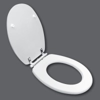 Nottingham White Soft Close Toilet Seat - High & Low Level Toilets