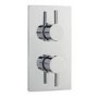 Premier Quest Twin Thermostatic Shower Valve With Diverter