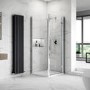 Apex 800 Hinged Shower Door