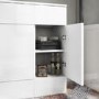 Harper 301mm Small Storage Cabinet White Gloss
