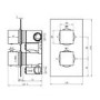 Brushed Nickel Twin Outlet Square Thermostatic Shower Valve
