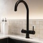 Black 3 in 1 Boiling Hot Kitchen Mixer Tap with 2.4L Boiler and Filter - Pronto Vesta