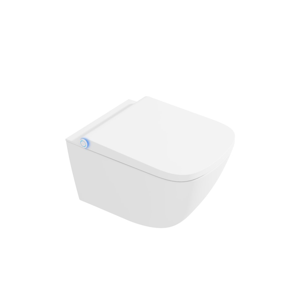 Wall Hung Smart Bidet Toilet Combo Built in Dryer & Spray