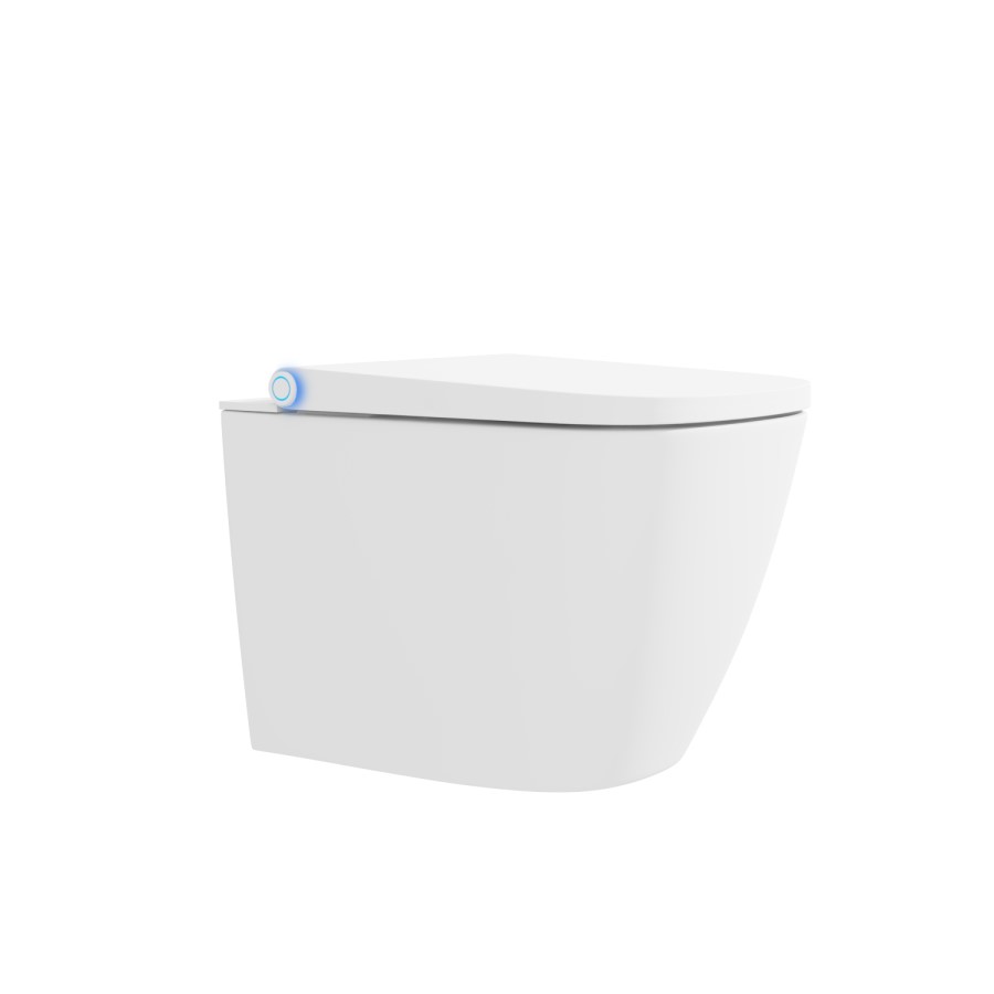 GRADE A2 - Purificare Back to Wall Square Bidet Toilet