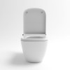 Back to Wall Smart Bidet Toilet Square - Purificare