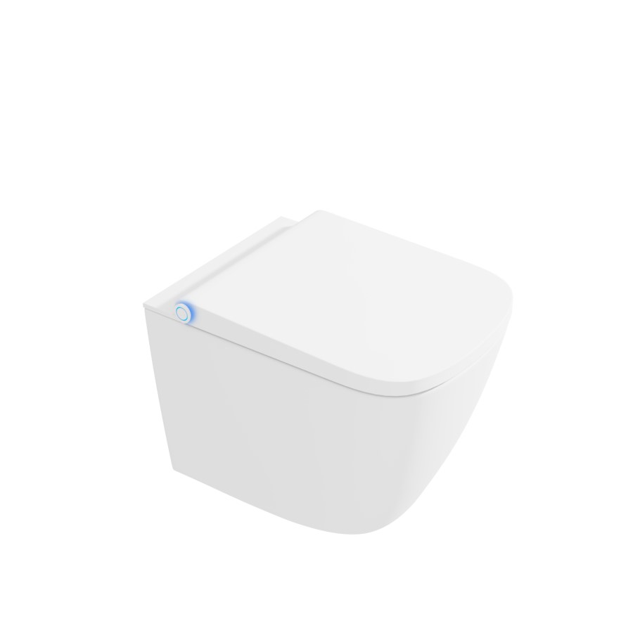 GRADE A2 - Purificare Back to Wall Square Bidet Toilet