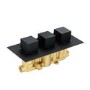 Zana Matt Black Triple Control Square  Concealed Valve - 2 Outlet