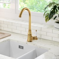 Taylor & Moore Hastings Traditional Kitchen Mixer Tap with Swivel Spout & Single Lever - Brushed Gold