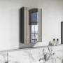 Dark Grey Mirrored Bathroom Cabinet 400 x 650mm - Pendle