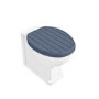 GRADE A2 - Baxenden Soft Close Wood Toilet Seat - Matt Blue