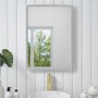 Rectangular LED Bathroom Mirror with Demister & Shaver Socket 500x700mm -Ariel  