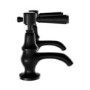 Black Basin Pillar Taps - Helston