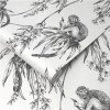 Grey Saimiri Monkey Print Wallpaper - Easy Superfresco