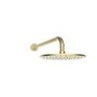 Vance 250mm Shower Head and Wall Arm Brushed Brass