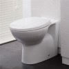 Tampa Back to Wall Toilet