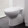 Tampa Back to Wall Toilet