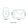 Tampa Back to Wall Toilet &amp; Standard Seat