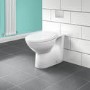 Tampa  Back to Wall Toilet