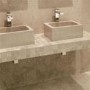 Fossil Grey Rectangular Basin