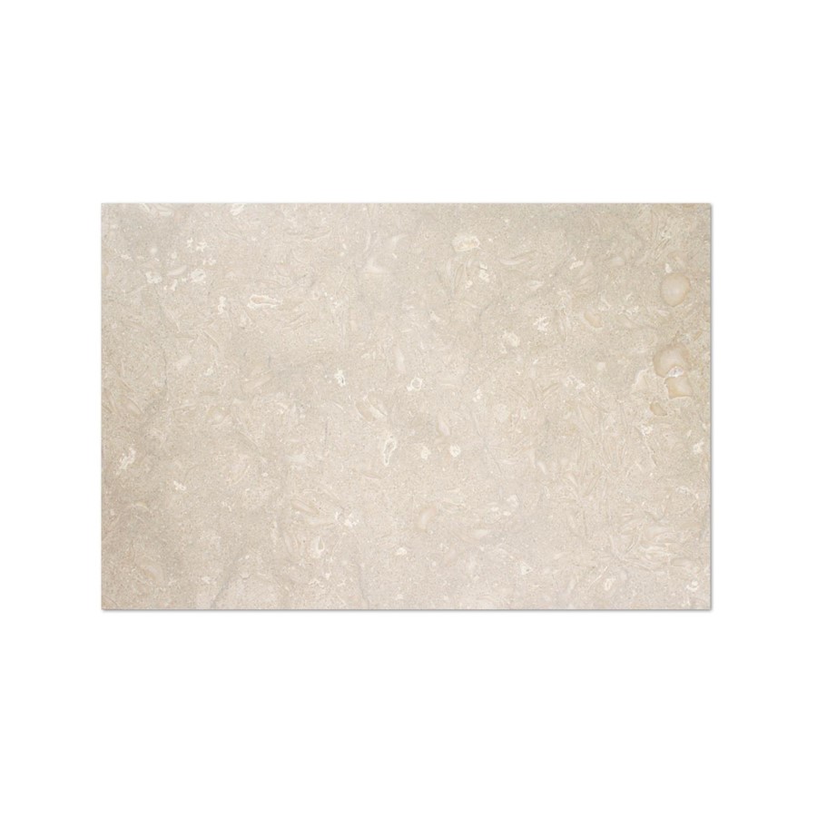 Fossil Grey Honed Wall/Floor Tile