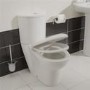 Prima Toilet and Seat