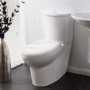 Prima Toilet and Seat
