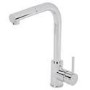 Santiagon Pull Out Spray Kitchen Mixer Tap