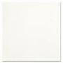 Rays White Wall/Floor Tile
