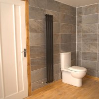 Nevada Beta Heat 1600 x 240mm Single Oval Panel Anthracite Vertical Radiator