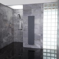 Nevada Beta Heat 1600 x 360mm Single Oval Panel Anthracite Vertical Radiator