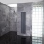 Nevada Beta Heat 1600 x 360mm Single Oval Panel Anthracite Vertical Radiator